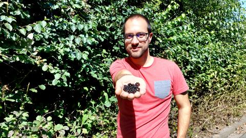 Jürgen Scholle mit Brombeeren in der Hand