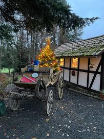 Das ist der Adventskranz von Heidi Lichte aus Niestetal