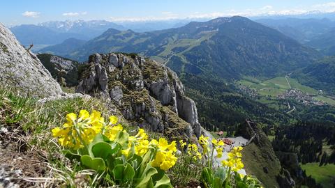 Unterwegs zu Bayerns Alpen und Seen