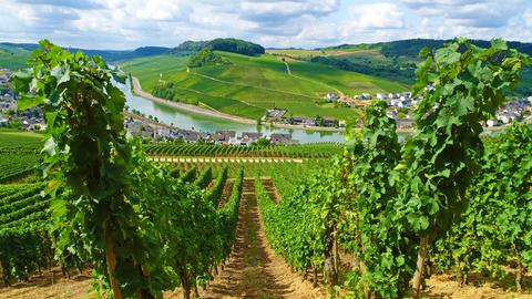 Unterwegs auf dem Mosel- und Eifelsteig