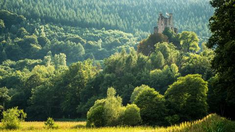 Unterwegs auf dem Mosel- und Eifelsteig