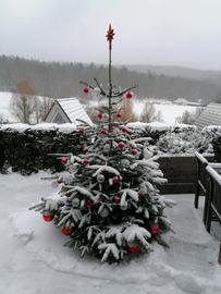 Weihnachtsbaum von Andrea Larisch aus Ronshausen-Machtlos