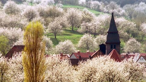 Kirschblüte rund um Witzenhausen