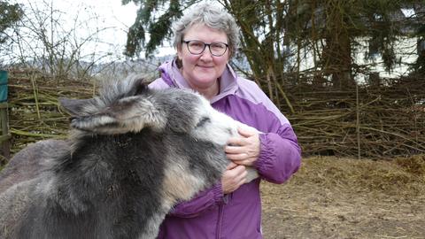 Tiere auf dem Hollerhof