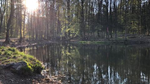 Sieben-Hügel-Steig bei Darmstadt - Goetheteich