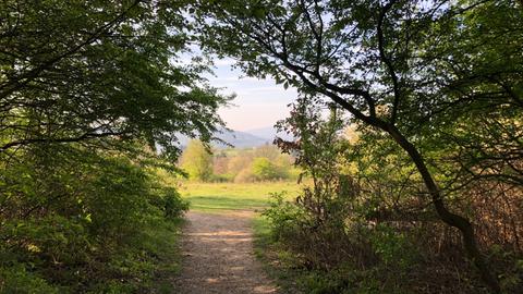 Sieben-Hügel-Steig bei Darmstadt - die Streuobstwiesen auf dem Prinzenberg