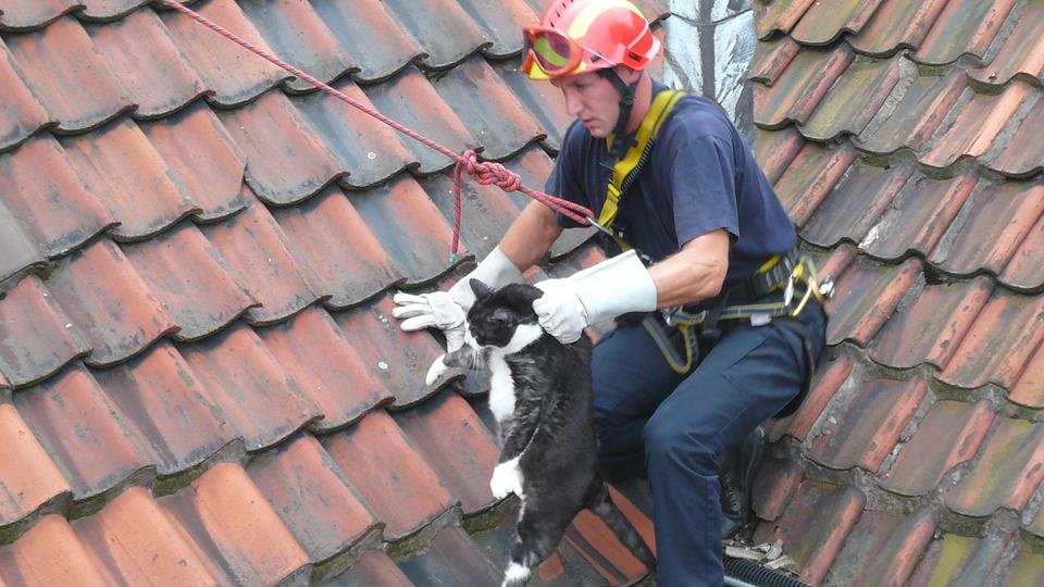 Tierrettung durch die Feuerwehr hr4.de Rat & Tat