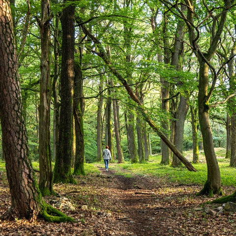 Frau auf einem Wanderweg bei Oberursel