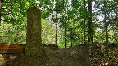 Wanderweg P12 Mainzer Köpfe